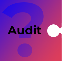 Cerebro technologie audit logo